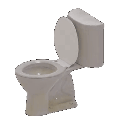 Toilet Loader